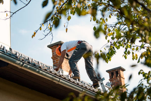 Roof Installation Near Me in Black River Falls, WI