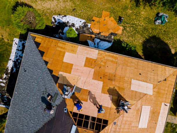 Best Local Roofing Companies  in Black River Falls, WI
